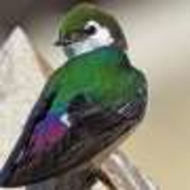 Europe's Farmers Unite to Reverse Biodiversity Loss - Image 4