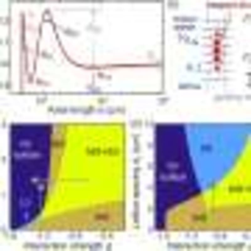 New Biosensor Tracks Iron in Living Cells in Real Time - Image 3