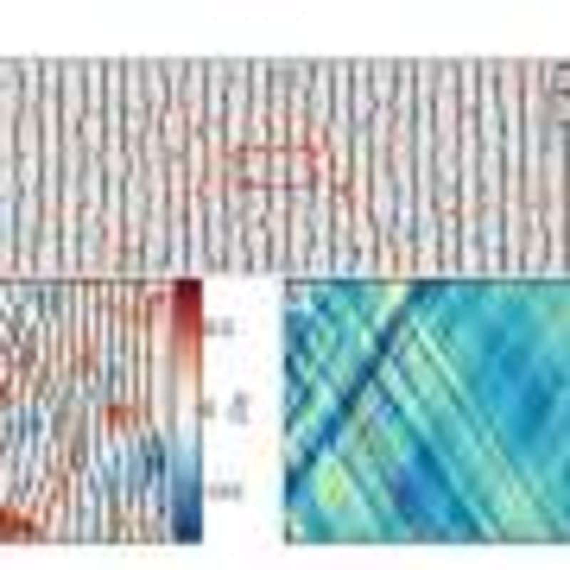 Olive Extract Restores Pesticides Against Resistant Beetles - Image 5