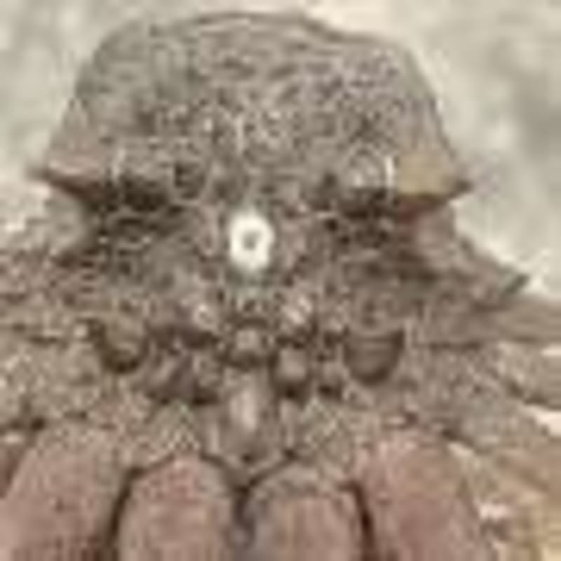 Indigenous Plant Knowledge Gets Scientific Name in Philippines - Image 4