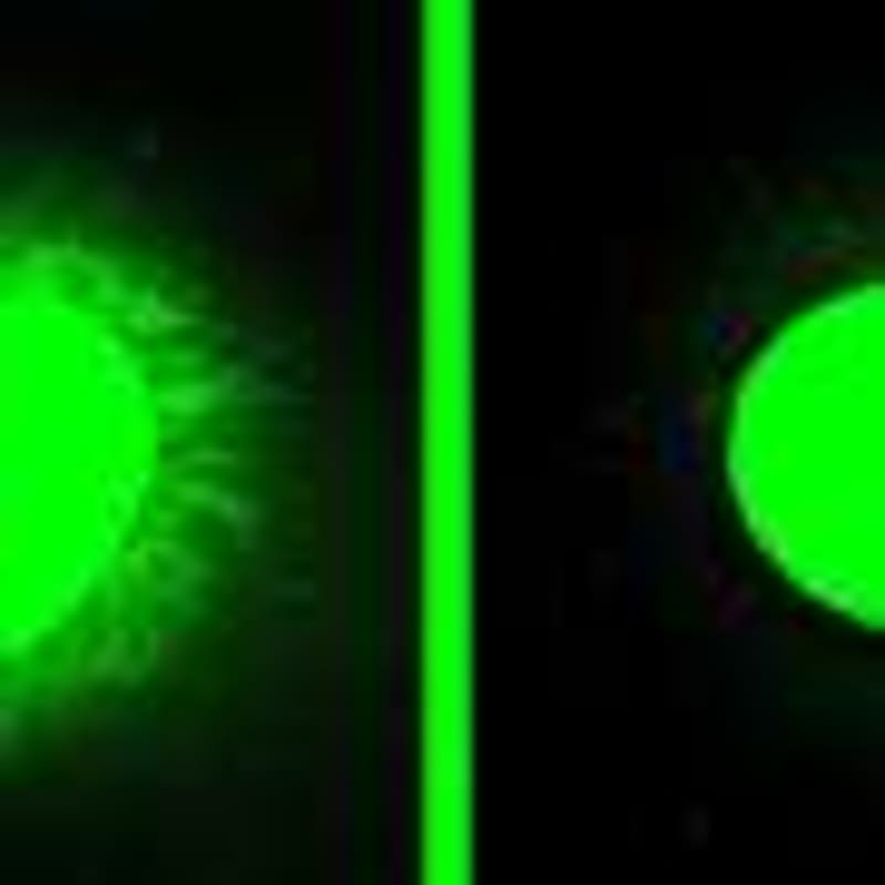 Daily Aspirin Cuts Severe Pregnancy Complication by 29% - Image 4