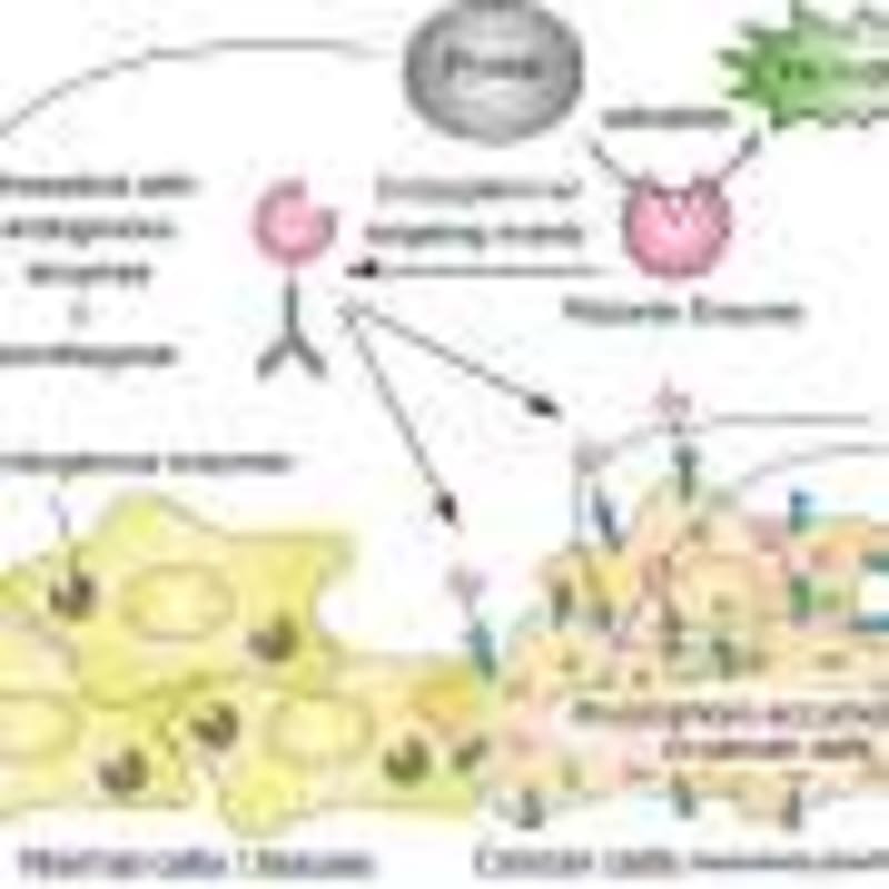 Cold Water Swimmers Build Calm That Lasts Beyond the Lake - Image 4