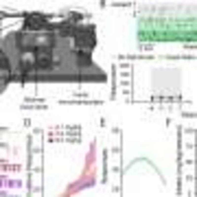 HPV Vaccine Cuts Cervical Screening to Just 2-3 Times Ever - Image 4