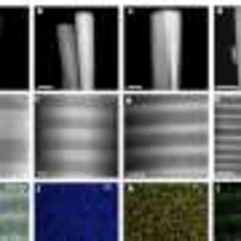 Researchers Break AI Safety to Make It Stronger - Image 4