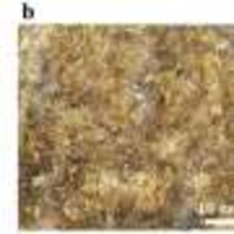 Korea Turns Landfill Gas Into 100kg Aviation Fuel Daily - Image 5