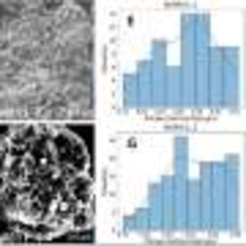 Thin Metal Plate Hears 3 Frequencies at Once - Image 5