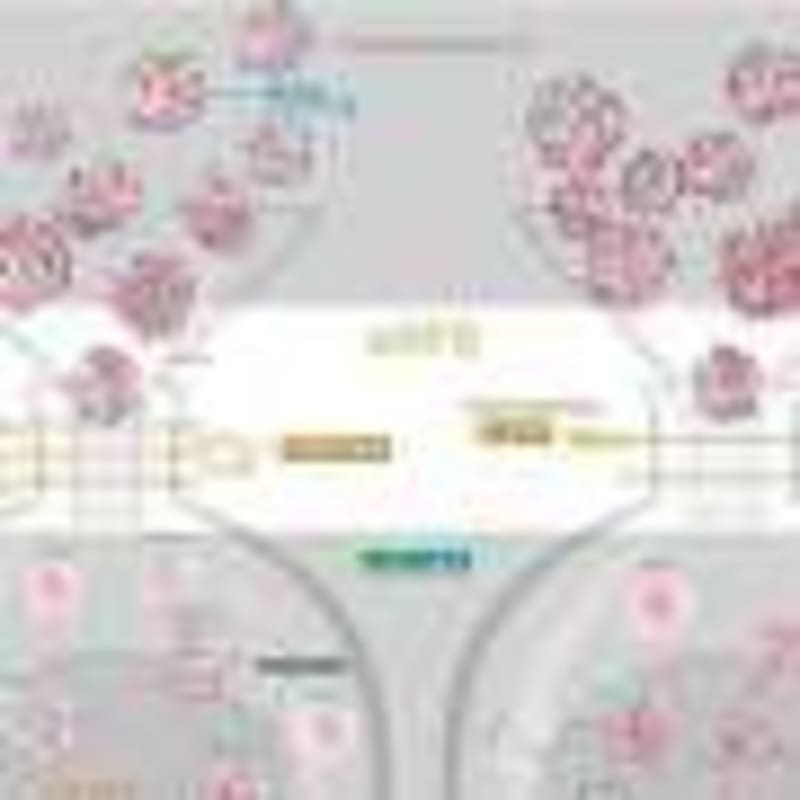 Rural Students Share How to Fix South Africa's Education Gap - Image 5