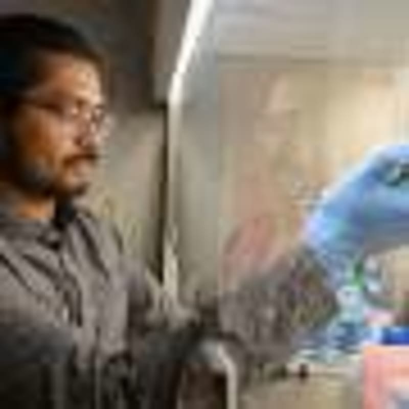 Scientists Create Gut Bacteria That Predict Illness Early - Image 5