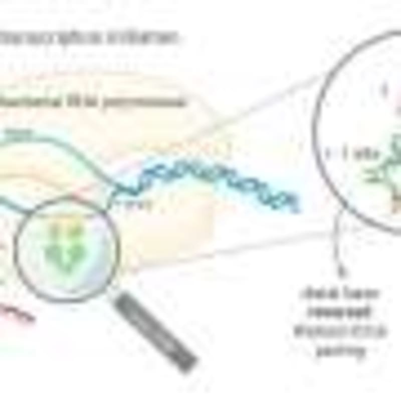 New Tool Tracks Air Pollution Across State Lines - Image 3