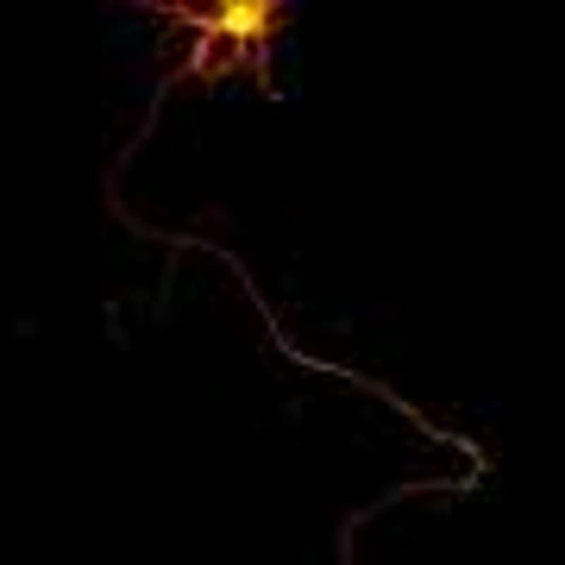 Scientists Map Mania Genes, Speeding Bipolar Diagnosis - Image 5