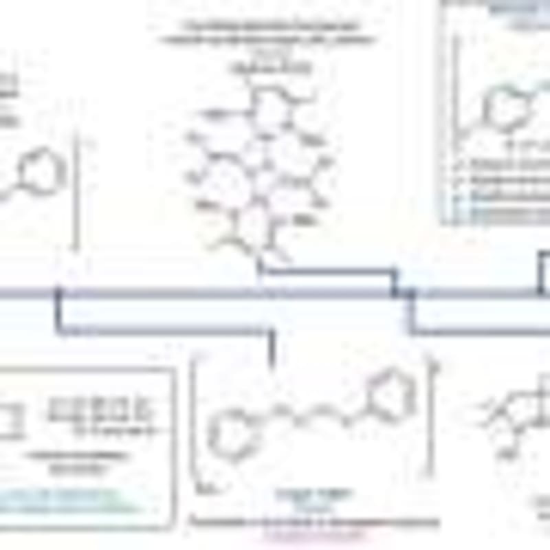 Stale Bread Powers Green Chemistry in Edinburgh Lab - Image 5