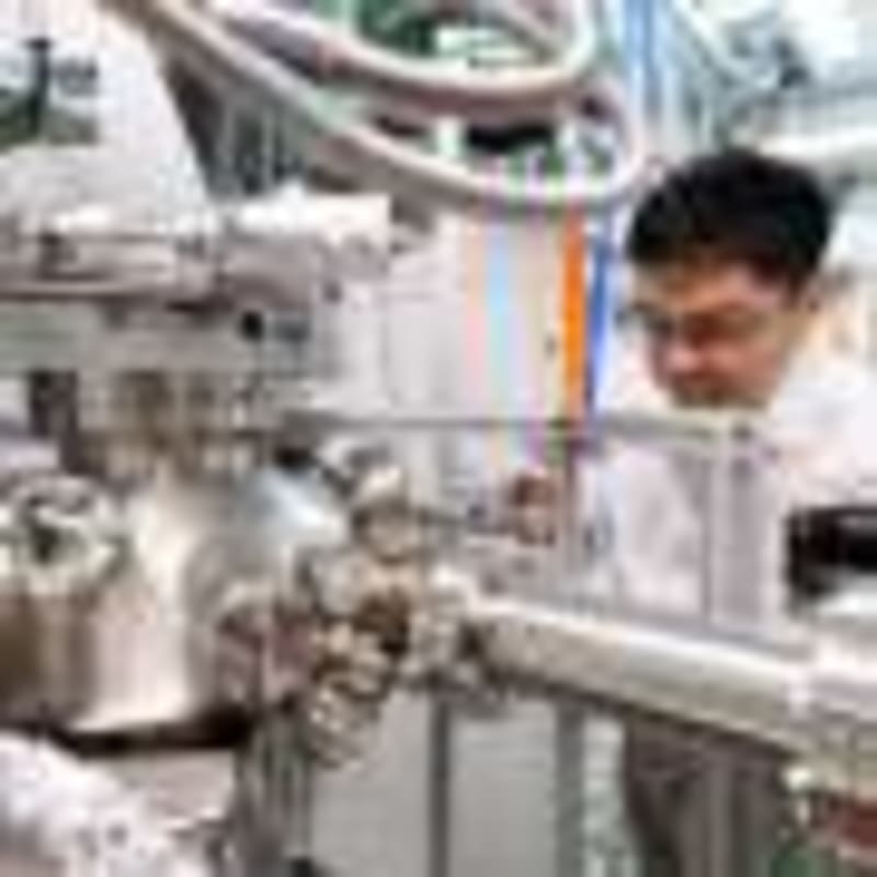 Natto Fermentation Creates Health-Boosting Molecules - Image 4