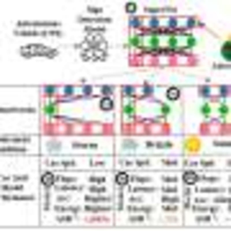 Simple Phone Tweaks Help Adults Break Social Media Habits - Image 3