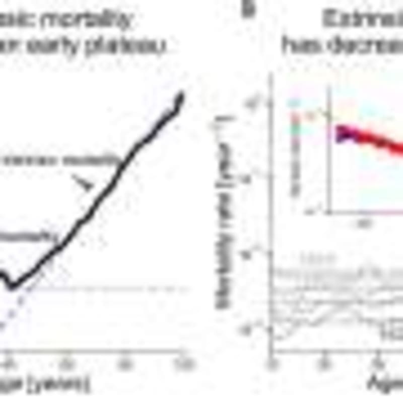 AI Predicts Dementia Early Using Simple Saliva Test - Image 5