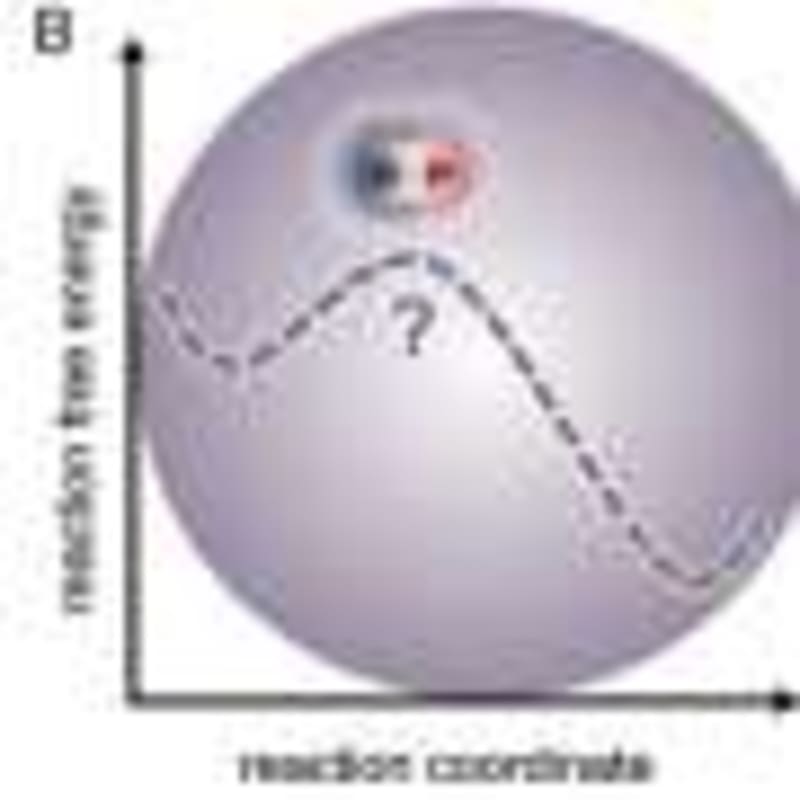 Toronto's COVID Pause Reversed This 'Forever Chemical - Image 4