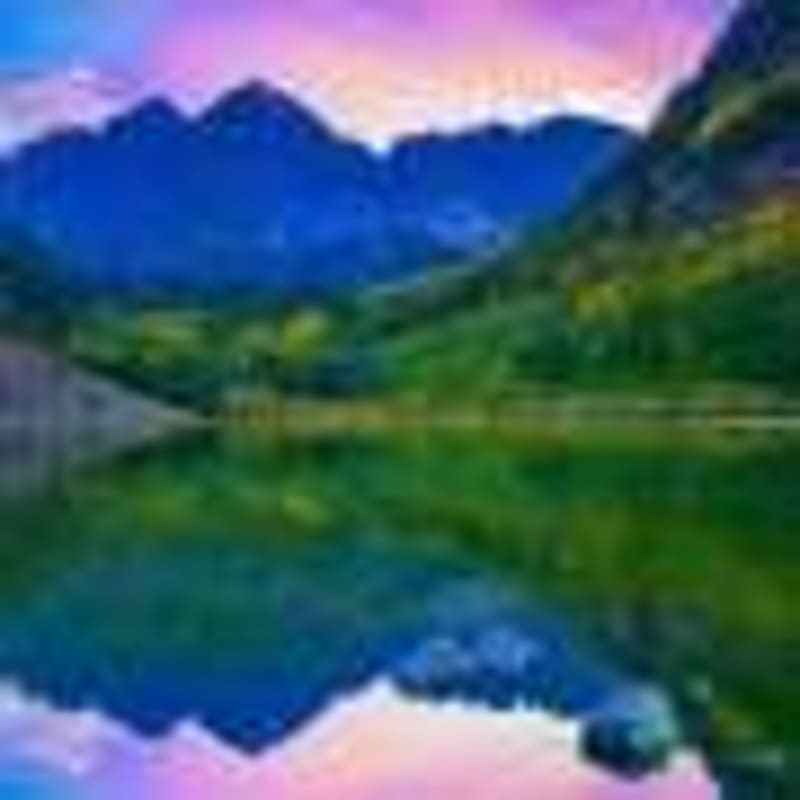 Scientists Find Humane Fix for Australia's Koala Boom - Image 4