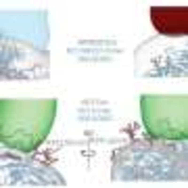 Better Hearing Restores Music Joy for Cochlear Implant Users - Image 4