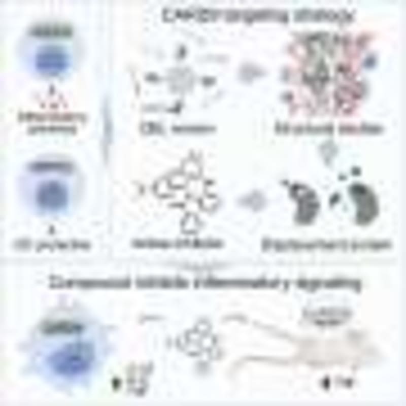 Coffee Compounds Outperform Diabetes Drug in Lab Study - Image 5