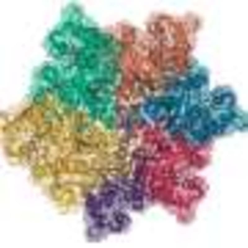 Noise Pollution Harms Birds—But We Know How to Fix It - Image 4