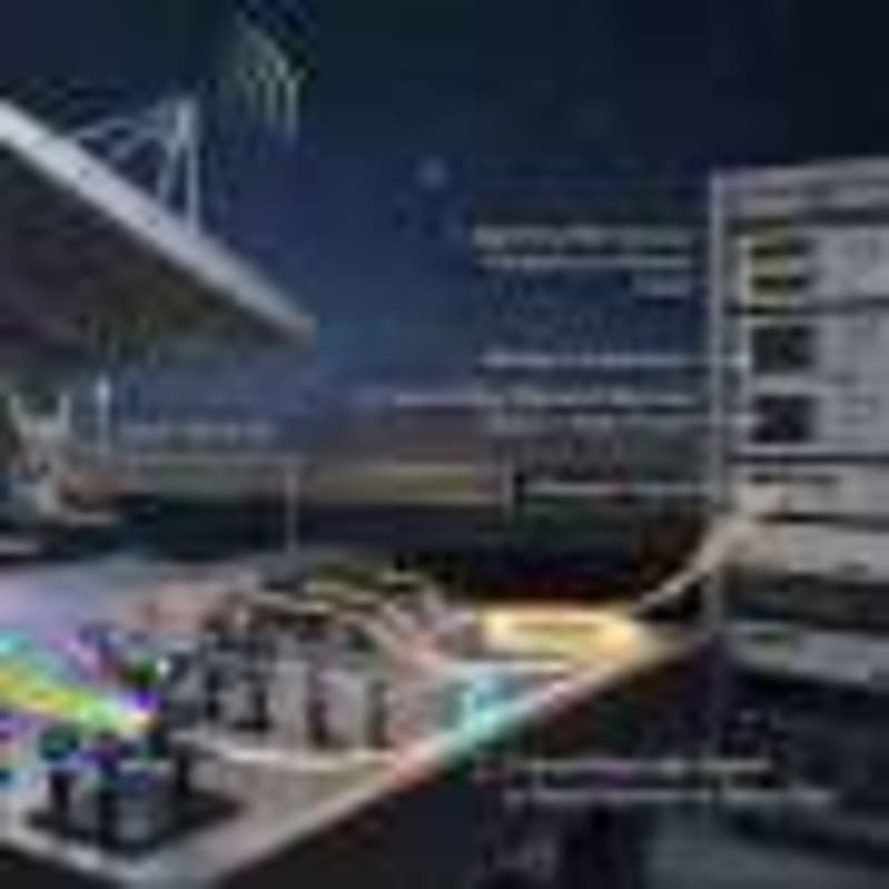 Leatherback Turtles Return to Nicaragua After 5-Year Absence - Image 5