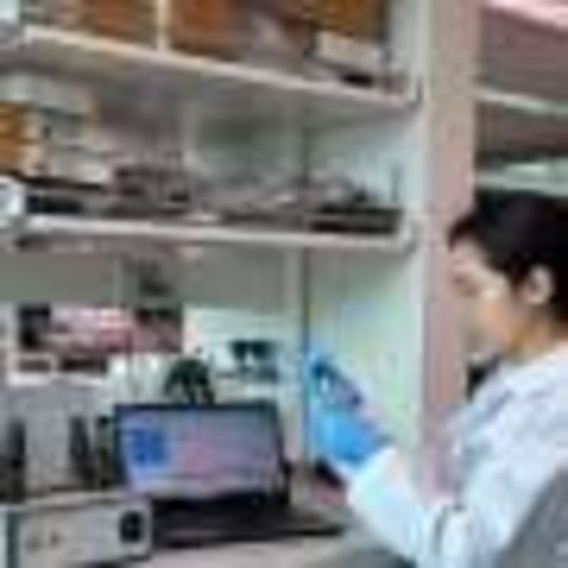 Scientists Discover Key to Steady, Healthy Heartbeats - Image 5