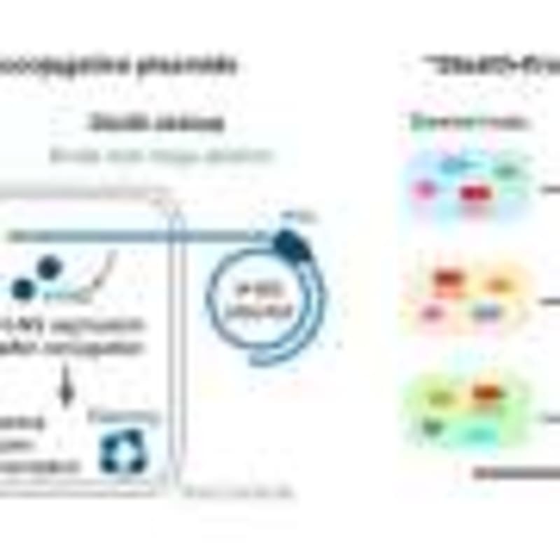 New AI App Identifies Dinosaur Footprints With 90% Accuracy - Image 4