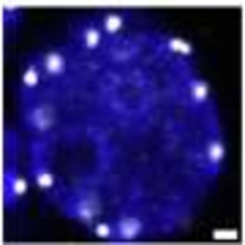 Scientists Find Hidden Link to Australia's Mineral Riches - Image 4