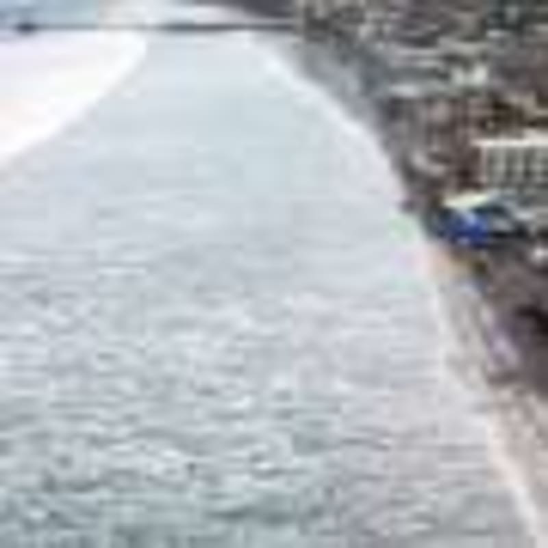 Insects Need Our Help: 31% Decline Linked to Invasives - Image 3