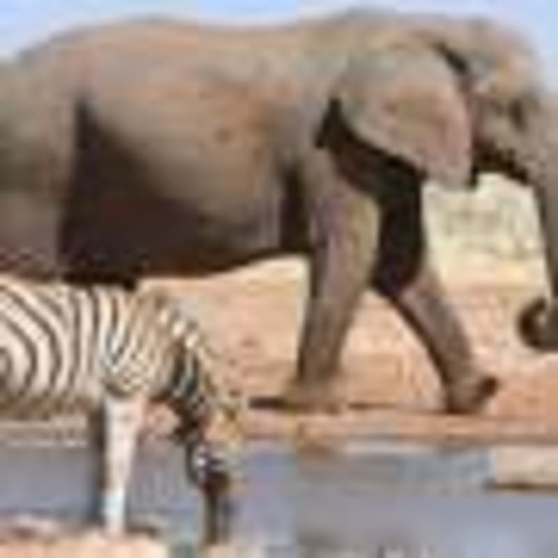 Scientists Unlock DNA 'Page Numbers' for Gene Assembly - Image 4