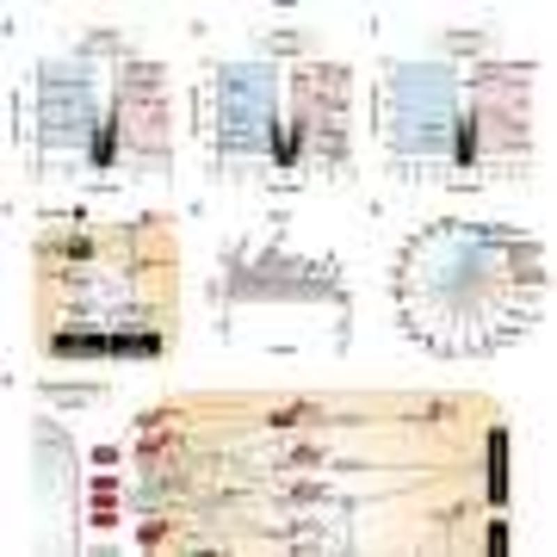 Daily Exercise Works Wonders for Women's Stress Relief, Groundbreaking Study Shows - Image 3