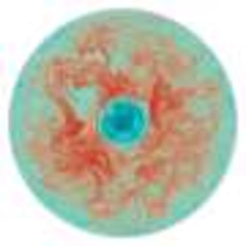 New Framework Connects Local Actions to Global Sustainability - Image 4