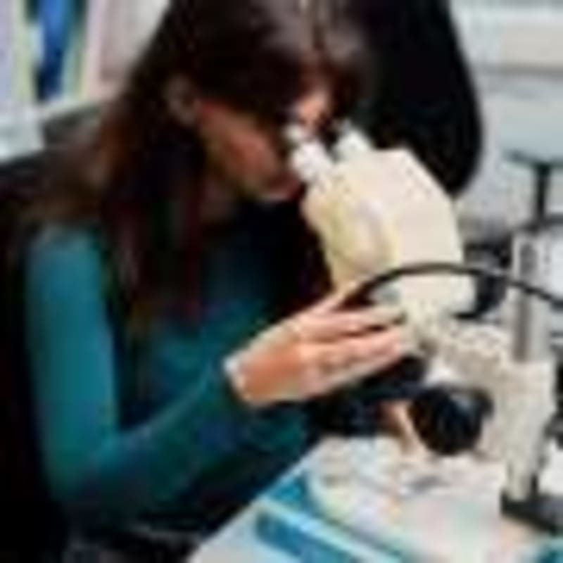 Revolutionary AI App Empowers Everyone to Become Bird Conservation Champions - Image 3