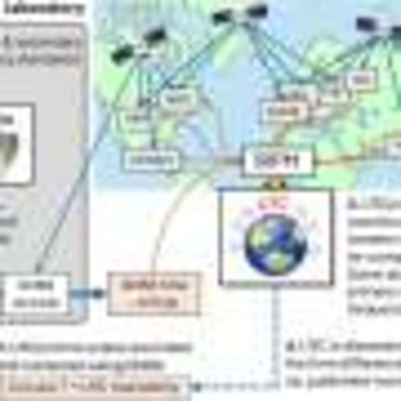 Farm Waste Could Store Carbon for Decades in Buildings - Image 5
