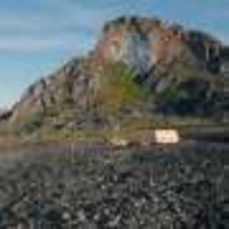 Seattle Study Reveals Gig Economy's Complex Pay Challenge