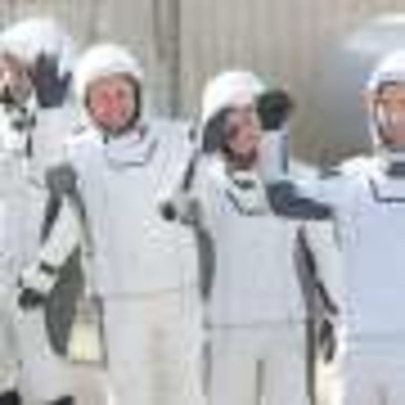 Insects Need Our Help: 31% Decline Linked to Invasives - Image 5