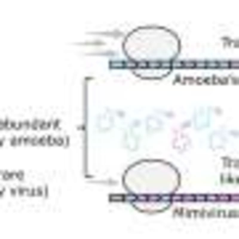 Basel Scientists Develop Breakthrough Test to Save Lives from Bacterial Infections - Image 4
