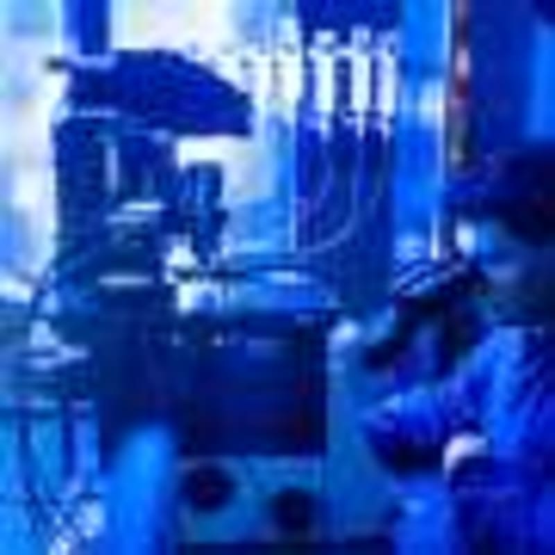 Indigenous Rangers Bring Endangered Quolls Back From the Brink - Image 4