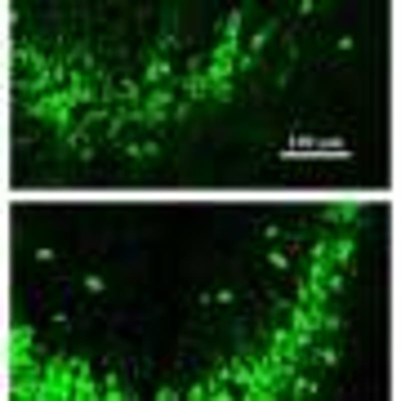 Harm Reduction Services Return $10 for Every Dollar Invested - Image 4