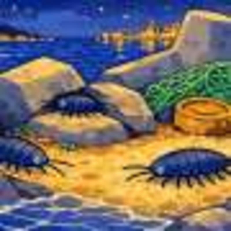 Tanzania Study Reveals Flaw in Plastic Bag Bans - Image 4