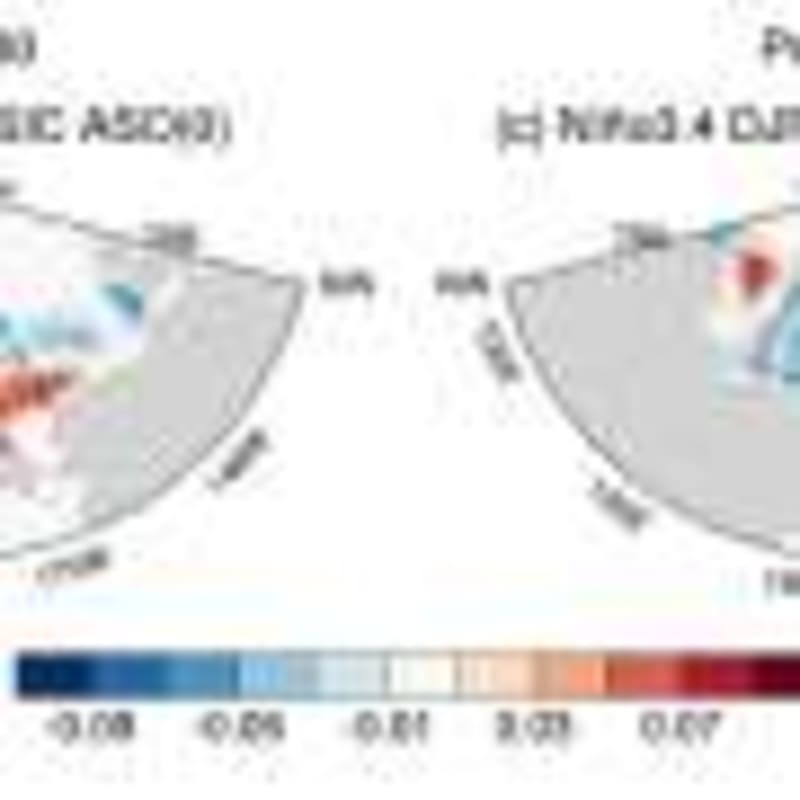 AI Reveals How Ant Colonies Solve Problems Without Leaders - Image 3