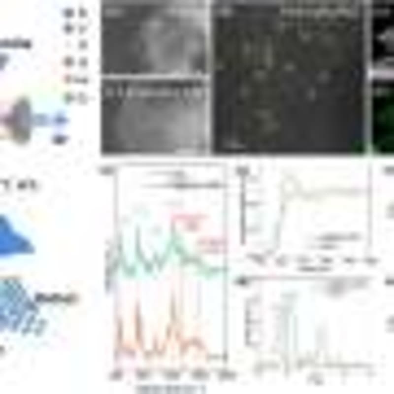 Indoor Plants Make Homes 2° Cooler and Filter Air Quality - Image 5