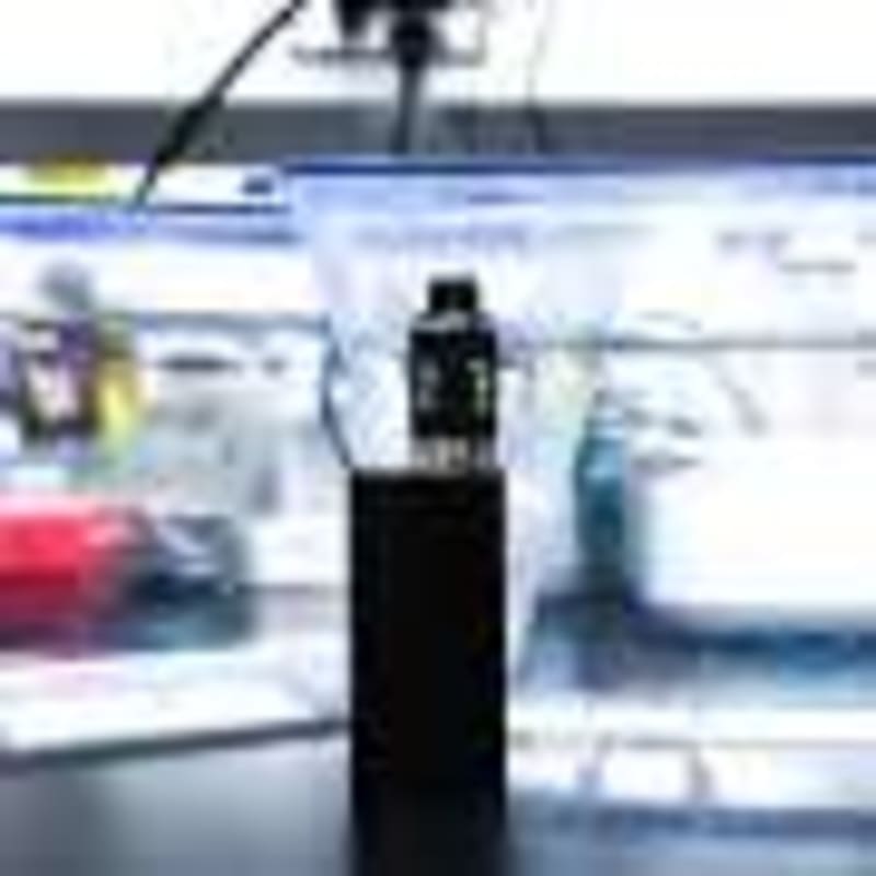 Scientists Discover How Kidneys Heal Themselves - Image 5