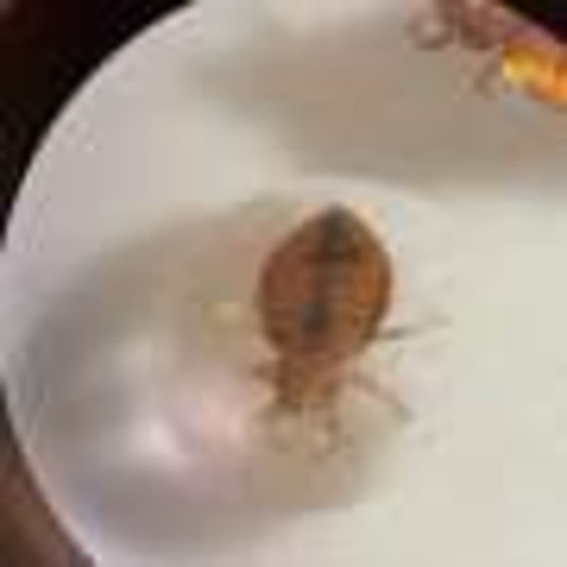 McGill Scientists Cut Cancer Treatment Side Effects - Image 5