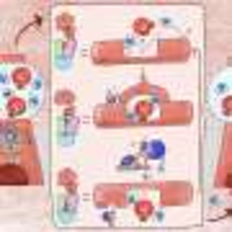 Climate Action Could Save 1.32 Million Lives by 2040 - Image 5