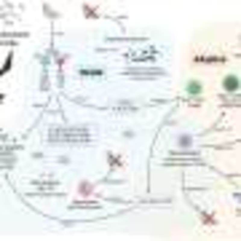 Low-Cost Drones Map Hidden Air Pollution Above Delhi - Image 5