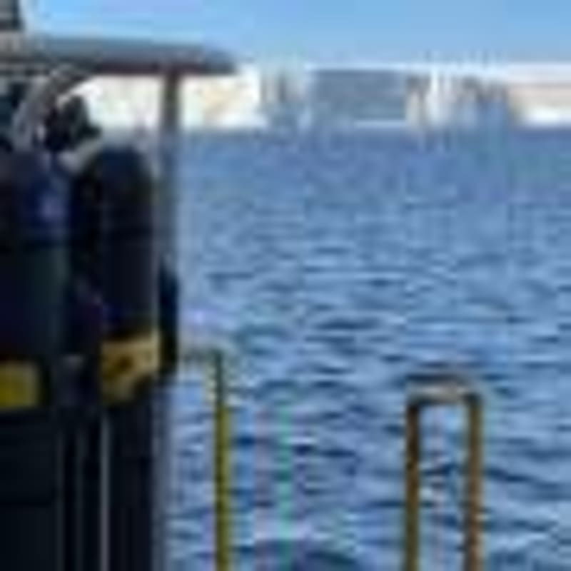 Scientists Find Immune Cells Pull DNA in New Way - Image 3