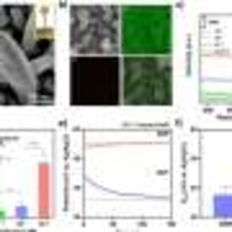 AI Diagnoses Brain Fluid Leaks in Under One Minute - Image 5
