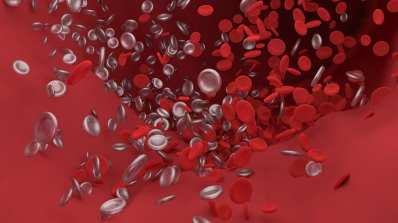 Scientists Solve Mystery of Rare Vaccine Blood Clots - Image 2