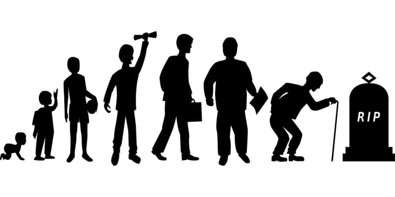 Scientists Map the Biology of Aging to Extend Healthy Years - Image 2
