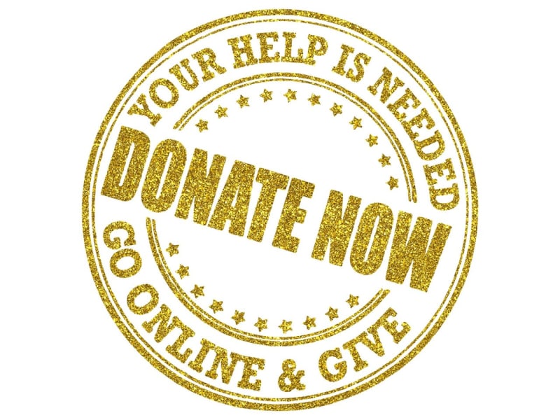 Science Reveals Why We Help Strangers After Disasters - Image 2